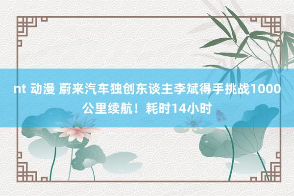 nt 动漫 蔚来汽车独创东谈主李斌得手挑战1000公里续航！耗时14小时