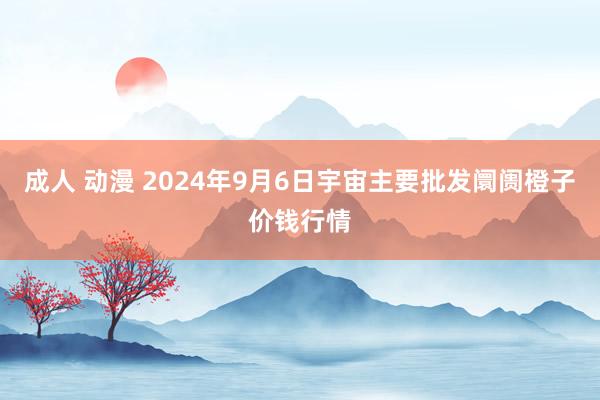 成人 动漫 2024年9月6日宇宙主要批发阛阓橙子价钱行情