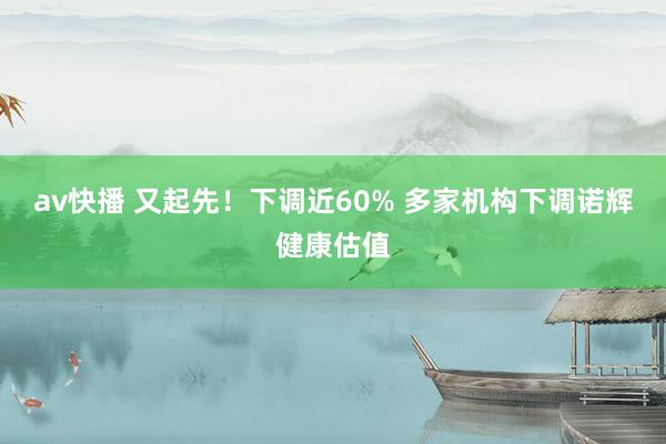 av快播 又起先！下调近60% 多家机构下调诺辉健康估值