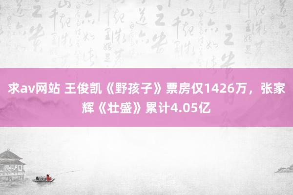 求av网站 王俊凯《野孩子》票房仅1426万，张家辉《壮盛》累计4.05亿