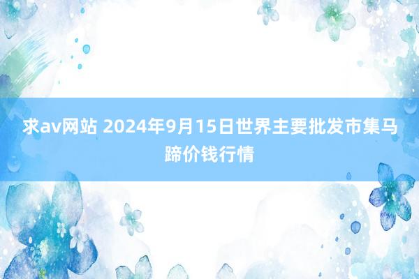 求av网站 2024年9月15日世界主要批发市集马蹄价钱行情