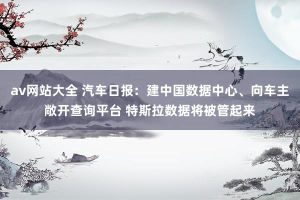 av网站大全 汽车日报：建中国数据中心、向车主敞开查询平台 特斯拉数据将被管起来