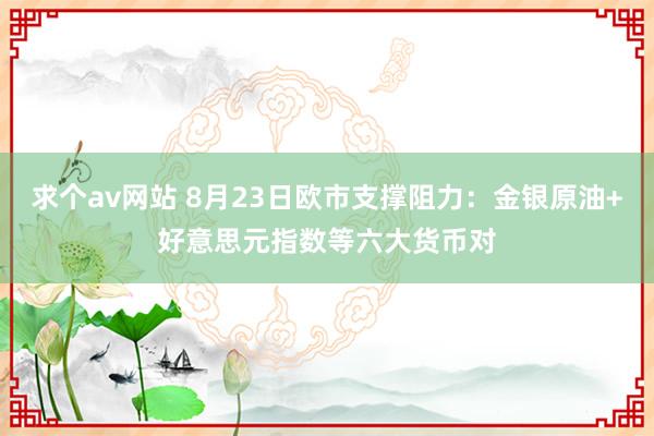 求个av网站 8月23日欧市支撑阻力：金银原油+好意思元指数等六大货币对