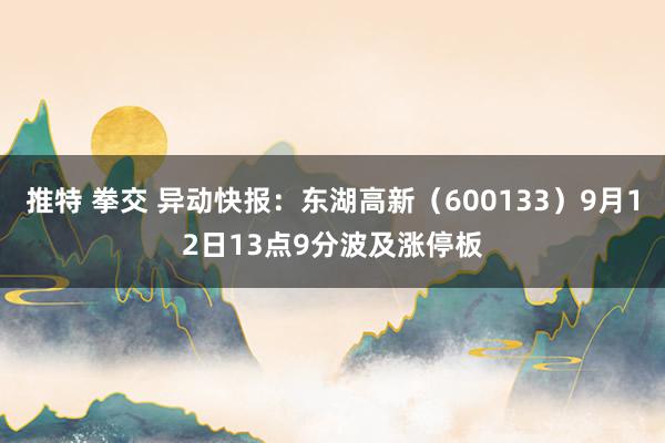 推特 拳交 异动快报：东湖高新（600133）9月12日13点9分波及涨停板