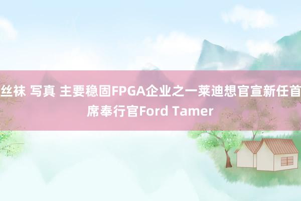 丝袜 写真 主要稳固FPGA企业之一莱迪想官宣新任首席奉行官Ford Tamer