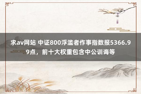 求av网站 中证800浮滥者作事指数报5366.99点，前十大权重包含中公训诲等