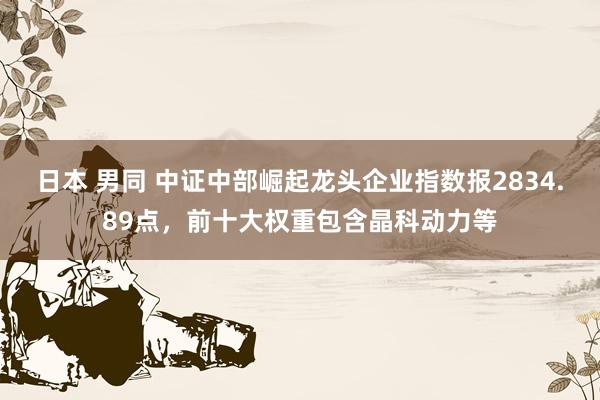 日本 男同 中证中部崛起龙头企业指数报2834.89点，前十大权重包含晶科动力等