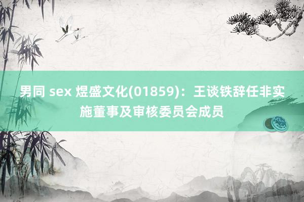 男同 sex 煜盛文化(01859)：王谈铁辞任非实施董事及审核委员会成员