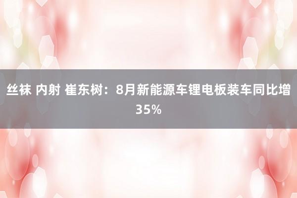 丝袜 内射 崔东树：8月新能源车锂电板装车同比增35%