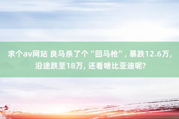 求个av网站 良马杀了个“回马枪”， 暴跌12.6万， 沿途跌至18万， 还看啥比亚迪呢?