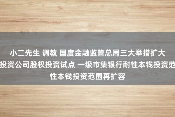 小二先生 调教 国度金融监管总局三大举措扩大金融金钱投资公司股权投资试点 一级市集银行耐性本钱投资范围再扩容