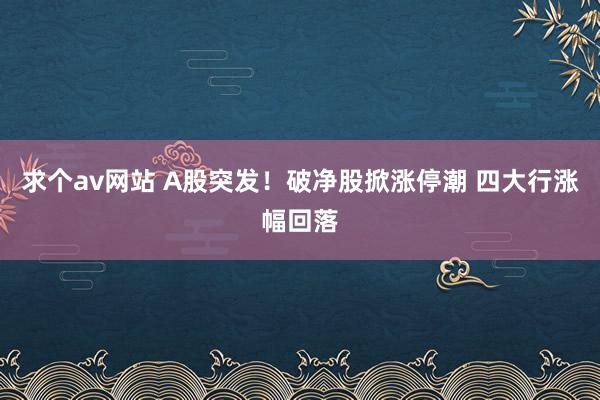 求个av网站 A股突发！破净股掀涨停潮 四大行涨幅回落