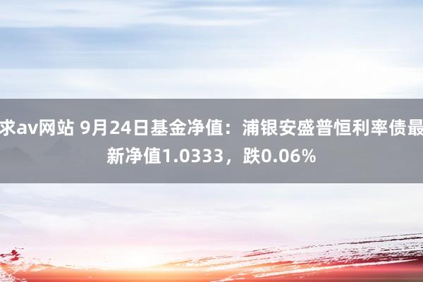 求av网站 9月24日基金净值：浦银安盛普恒利率债最新净值1.0333，跌0.06%