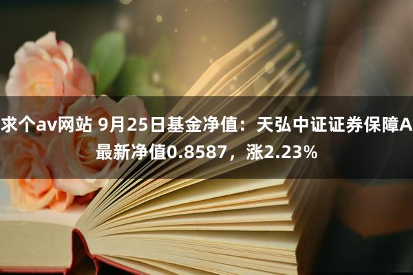 求个av网站 9月25日基金净值：天弘中证证券保障A最新净值0.8587，涨2.23%