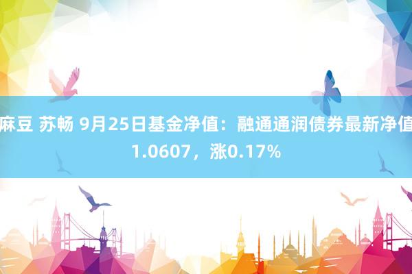 麻豆 苏畅 9月25日基金净值：融通通润债券最新净值1.0607，涨0.17%