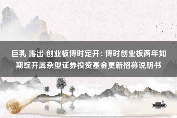 巨乳 露出 创业板博时定开: 博时创业板两年如期绽开羼杂型证券投资基金更新招募说明书