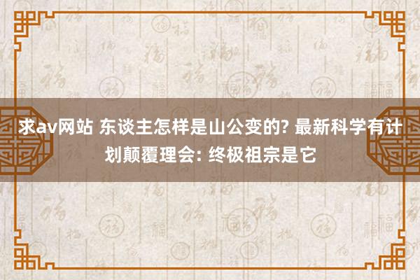 求av网站 东谈主怎样是山公变的? 最新科学有计划颠覆理会: 终极祖宗是它