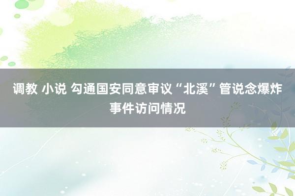 调教 小说 勾通国安同意审议“北溪”管说念爆炸事件访问情况