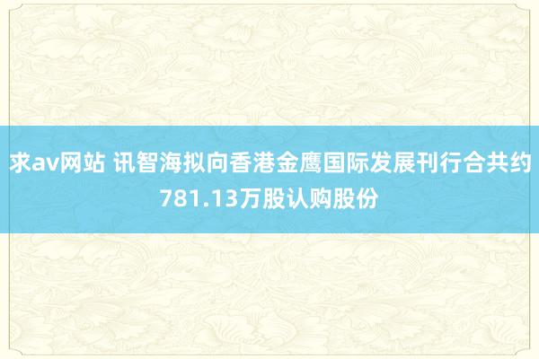 求av网站 讯智海拟向香港金鹰国际发展刊行合共约781.13万股认购股份