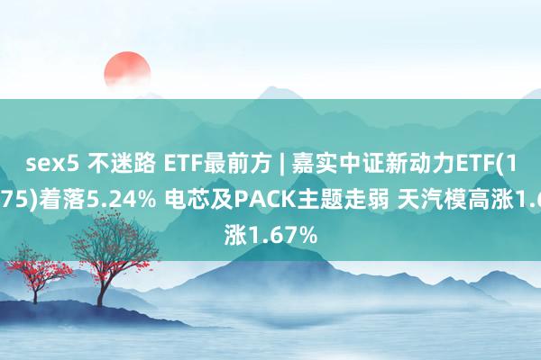 sex5 不迷路 ETF最前方 | 嘉实中证新动力ETF(159875)着落5.24% 电芯及PACK主题走弱 天汽模高涨1.67%