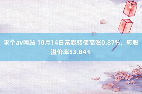 求个av网站 10月14日富淼转债高涨0.87%，转股溢价率53.84%