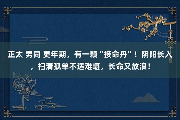 正太 男同 更年期，有一颗“接命丹”！阴阳长入，扫清孤单不适难堪，长命又放浪！