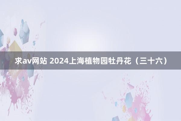 求av网站 2024上海植物园牡丹花（三十六）