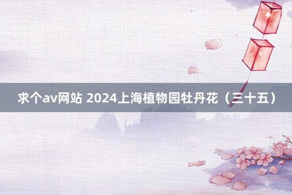 求个av网站 2024上海植物园牡丹花（三十五）