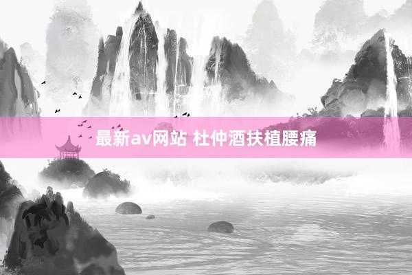 最新av网站 杜仲酒扶植腰痛