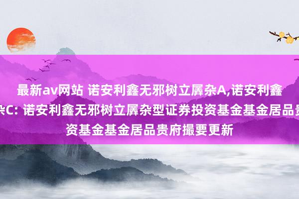 最新av网站 诺安利鑫无邪树立羼杂A，诺安利鑫无邪树立羼杂C: 诺安利鑫无邪树立羼杂型证券投资基金基金居品贵府撮要更新