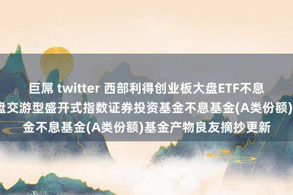 巨屌 twitter 西部利得创业板大盘ETF不息A: 西部利得创业板大盘交游型盛开式指数证券投资基金不息基金(A类份额)基金产物良友摘抄更新