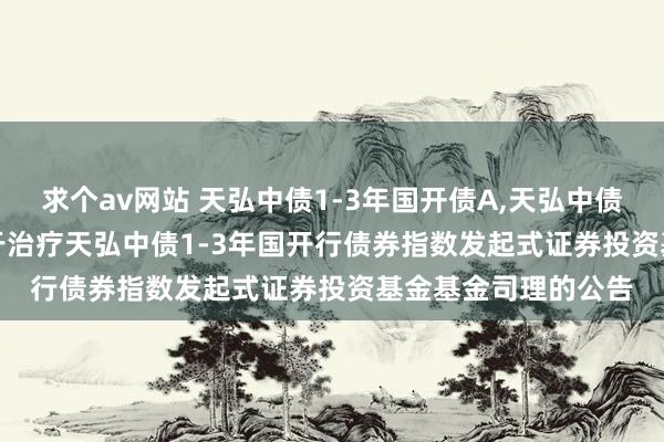 求个av网站 天弘中债1-3年国开债A，天弘中债1-3年国开债C: 对于治疗天弘中债1-3年国开行债券指数发起式证券投资基金基金司理的公告