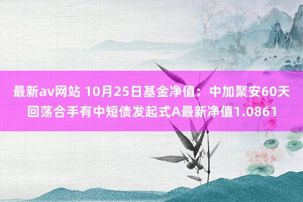 最新av网站 10月25日基金净值：中加聚安60天回荡合手有中短债发起式A最新净值1.0861