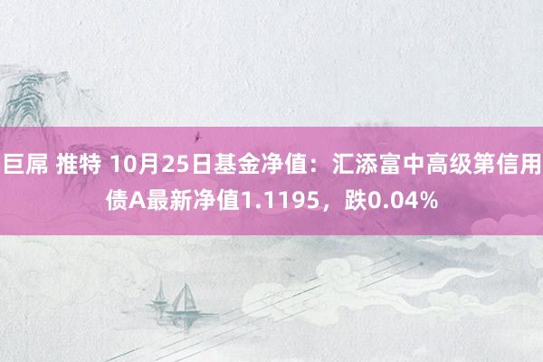 巨屌 推特 10月25日基金净值：汇添富中高级第信用债A最新净值1.1195，跌0.04%