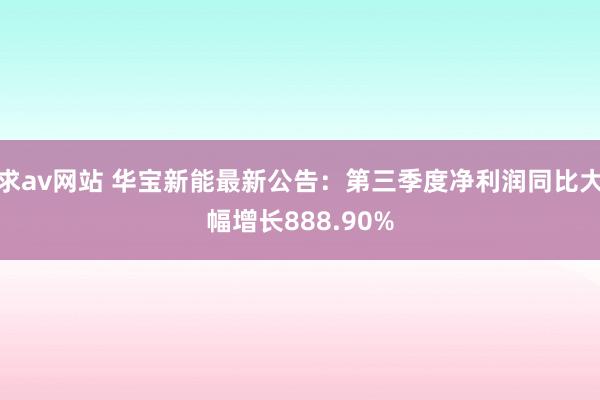 求av网站 华宝新能最新公告：第三季度净利润同比大幅增长888.90%