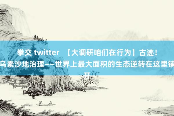 拳交 twitter  【大调研咱们在行为】古迹！毛乌素沙地治理——世界上最大面积的生态逆转在这里铺开