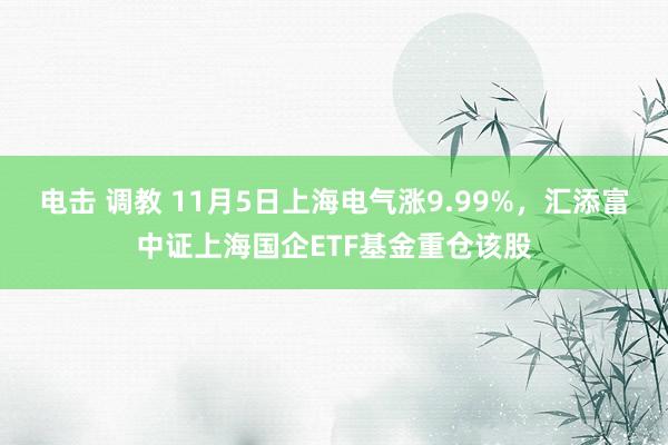 电击 调教 11月5日上海电气涨9.99%，汇添富中证上海国企ETF基金重仓该股