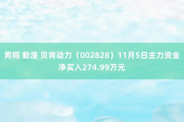 男同 動漫 贝肯动力（002828）11月5日主力资金净买入274.99万元