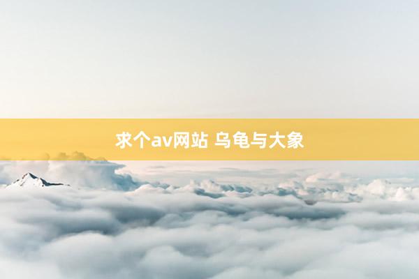 求个av网站 乌龟与大象