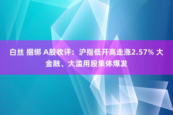 白丝 捆绑 A股收评：沪指低开高走涨2.57% 大金融、大滥用股集体爆发