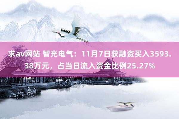 求av网站 智光电气：11月7日获融资买入3593.38万元，占当日流入资金比例25.27%