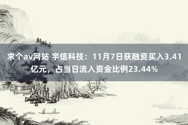 求个av网站 宇信科技：11月7日获融资买入3.41亿元，占当日流入资金比例23.44%